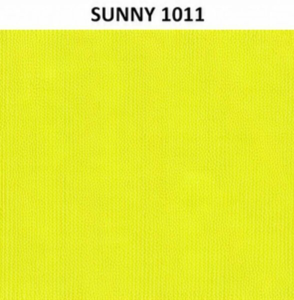SUNNY 1011