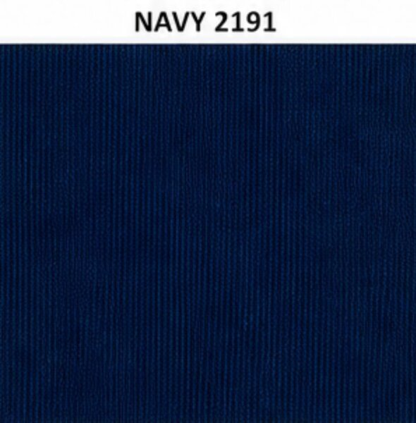 NAVY 2191