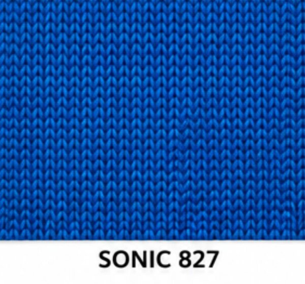 SONIC 827