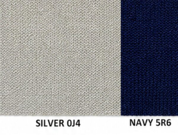 SILVER/NAVY